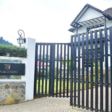 Unique Cottages Nuwara Eliya Extérieur photo